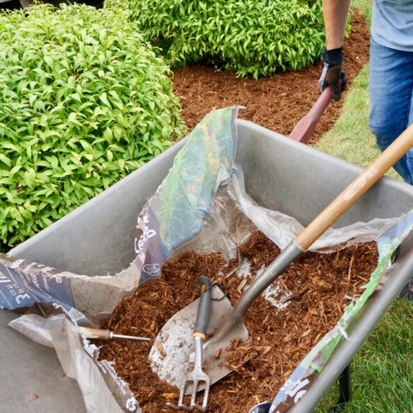 Sod Installation & Seeding