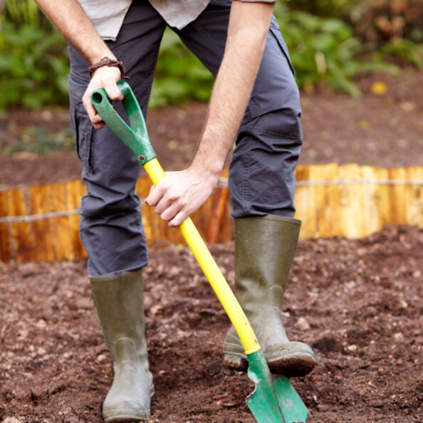 Preparing the soil for planting.