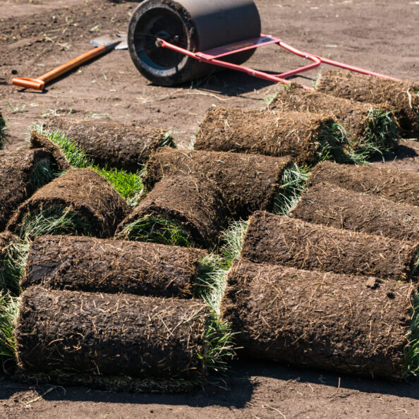 Rolls of lawn grass on a sunny day - country house and landscape design