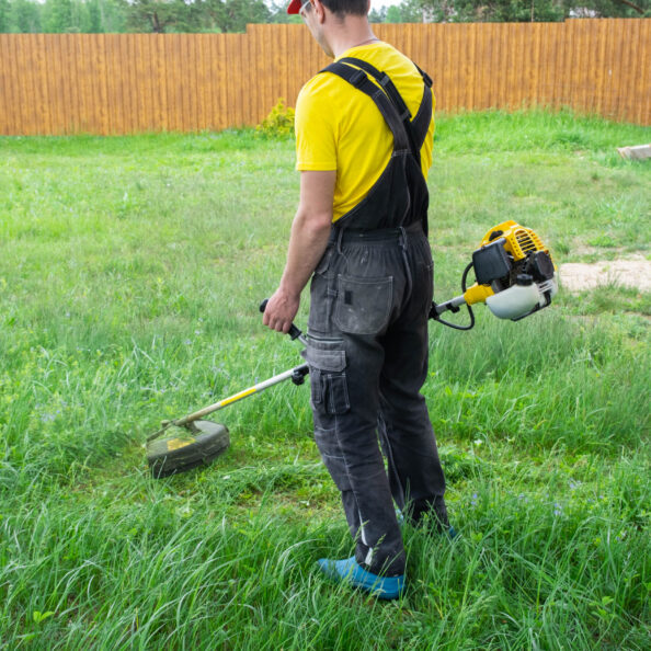 A male gardener mows the green grass of the lawn in the backyard with a gasoline mower. Trimmer for the care of a garden plot